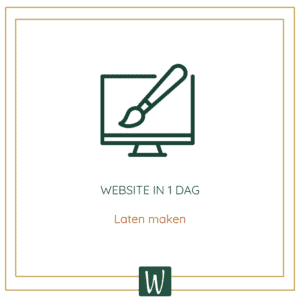Website in 1 dag laten maken