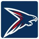Michigan Falcons football team logo with a falcon in flight.