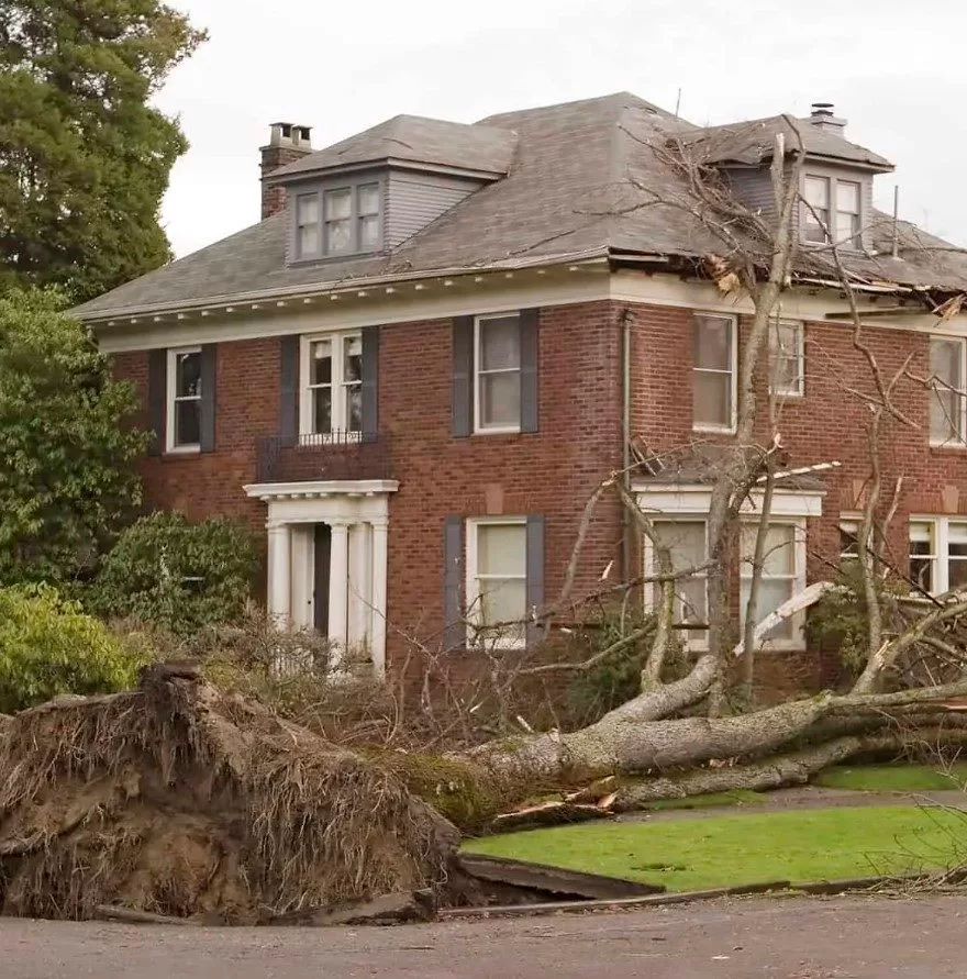 Storm Damage 5 A large tree has fallen onto the roof of a brick house, causing visible damage; storm damage roof repair is needed as the tree roots are exposed and the lawn is disturbed.