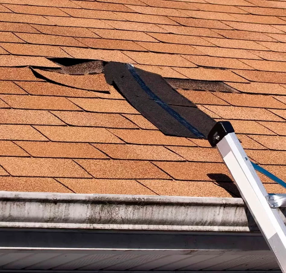 Storm Damage 8 A section of asphalt roof shingles is damaged and lifted, likely needing storm damage roof repair, with a ladder leaning against the gutter nearby.