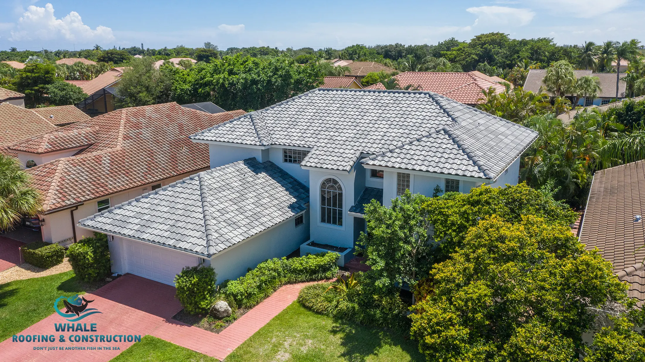 Aerial view of a two-story house with a gray tile roof, surrounded by trees and neighboring homes. Logo for Whale Roofing & Construction is visible in the bottom left corner.