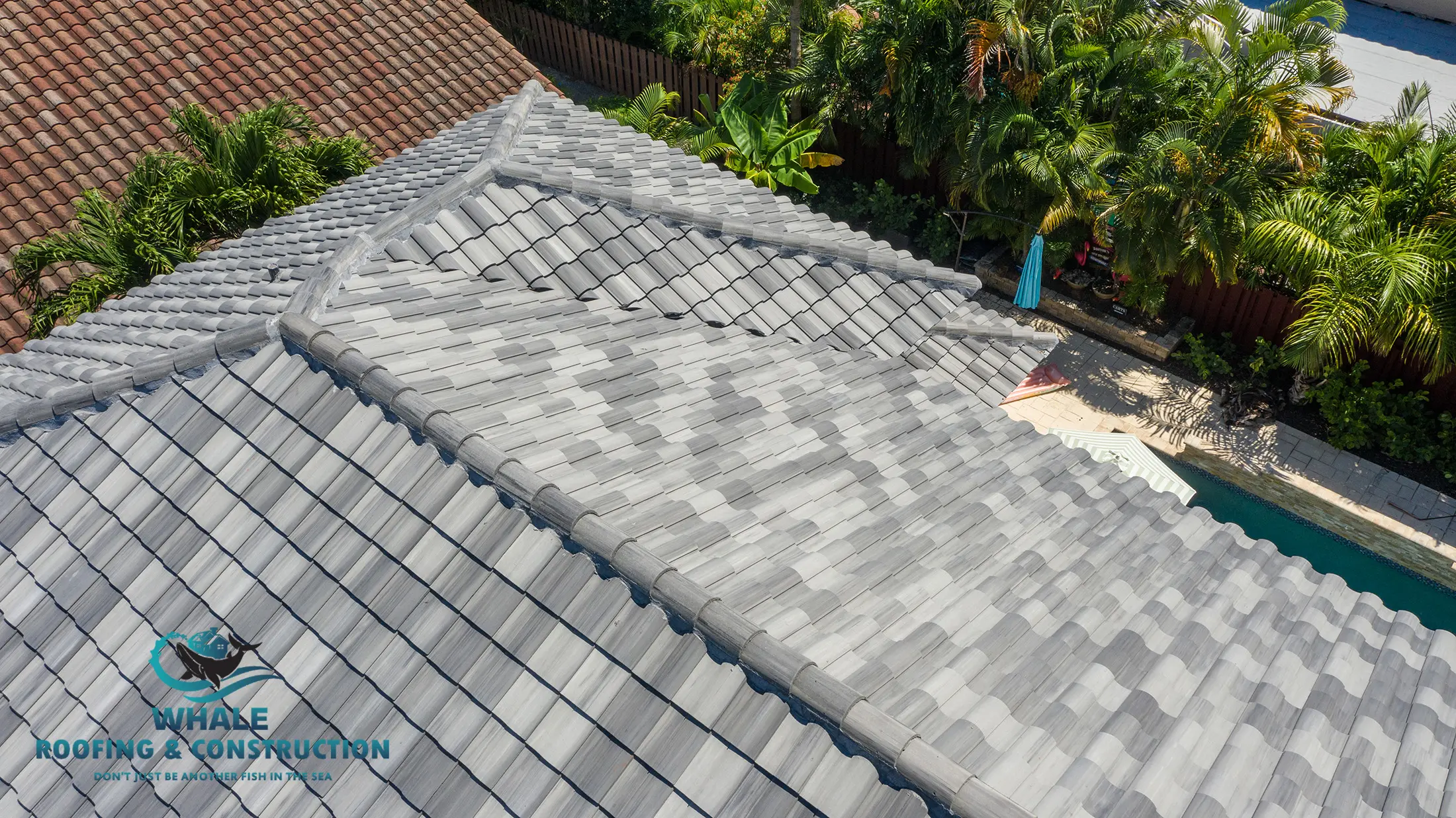 Aerial view of a house with a new gray tiled roof surrounded by trees, with a pool and patio area partially visible. Whale Roofing & Construction logo is in the bottom left corner.