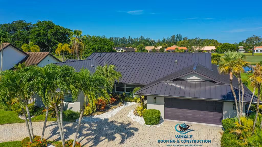 A modern house with a dark metal roof, surrounded by palm trees and landscaping, with a stone driveway in front. Whale Roofing & Construction logo is visible in the lower right corner.