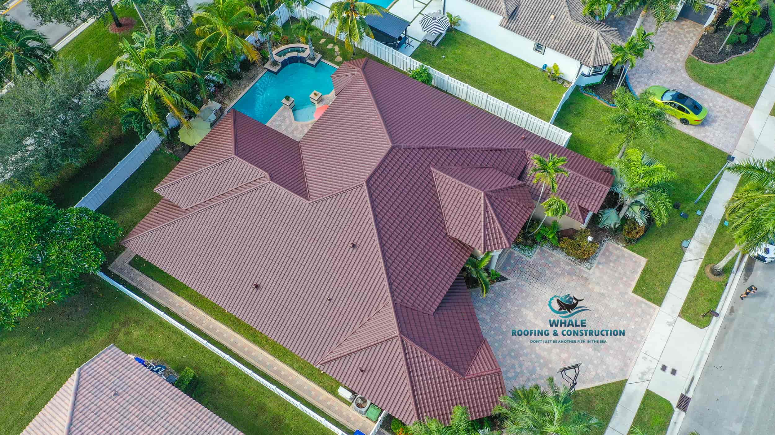 Aerial view of a house with a red tiled roof, a backyard pool, palm trees, and a Whale Roofing & Construction logo on the driveway.