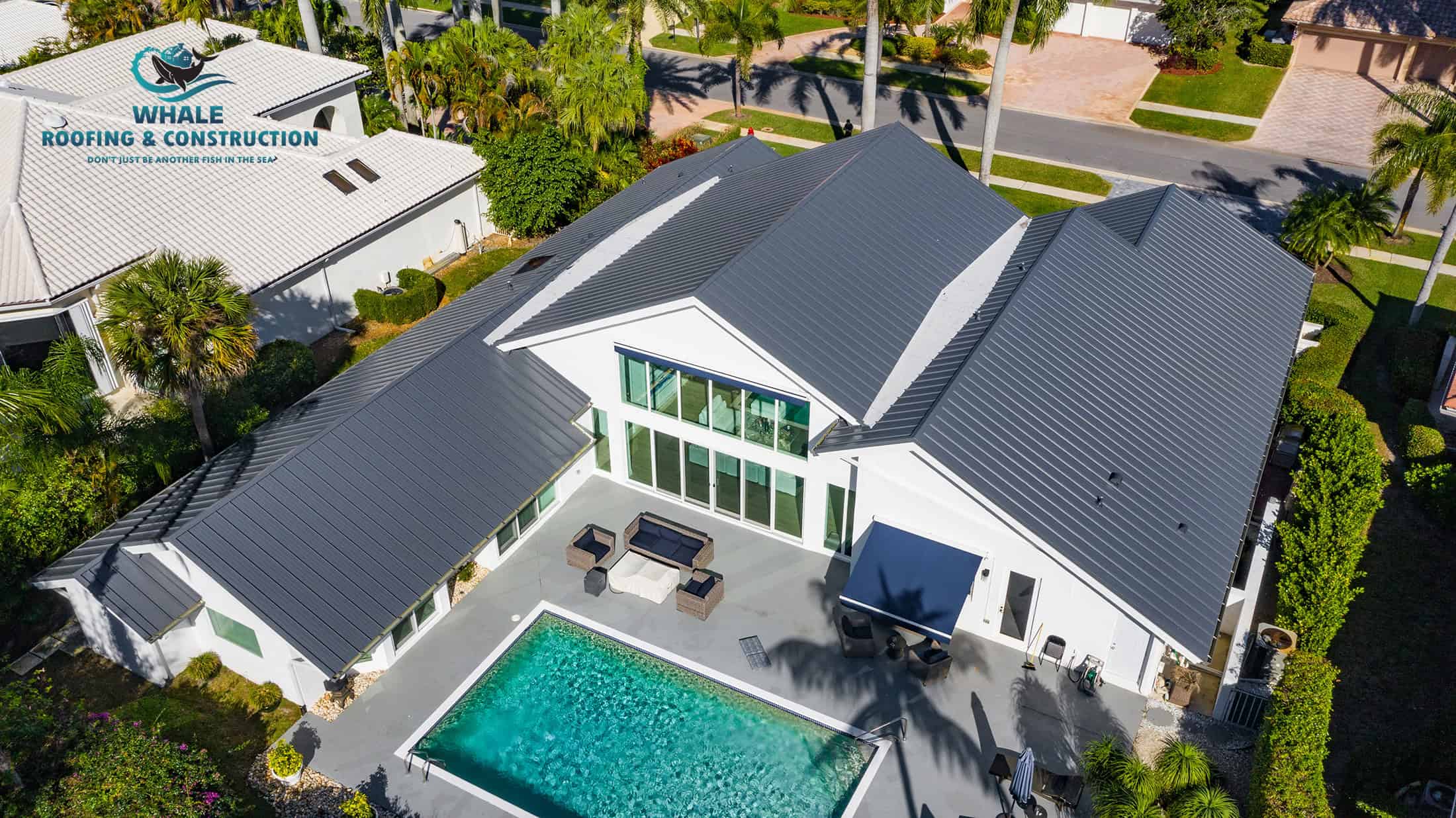 Aerial view of a modern white house with a gray metal roof, backyard patio, and rectangular swimming pool, surrounded by palm trees—showcasing the value of expert roofing and maintenance in a stylish neighborhood setting.