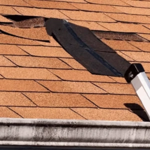Whale Roofing Services 7 shingle roofing