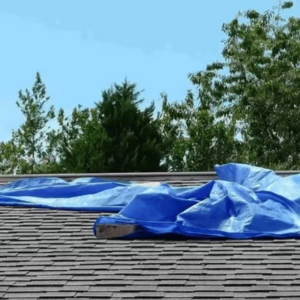 Whale Roofing Services 6 A blue tarp held down by concrete blocks covers part of a shingled roof, with trees and a blue sky in the background—suggesting the need for roof repair Boca Raton by local emergency roofing contractors.