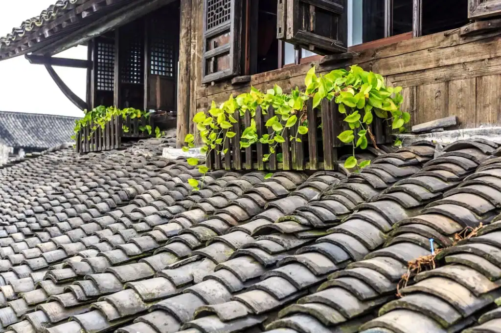 Shingle Roofing