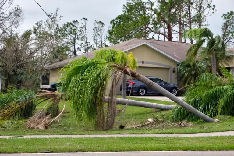 Emergency Storm Cleanup