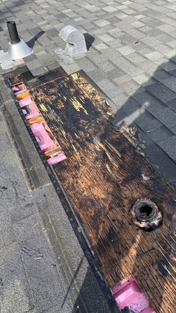 Close-up of a roof deck with severe wood rot and mold damage revealed during a roofing tear-off.