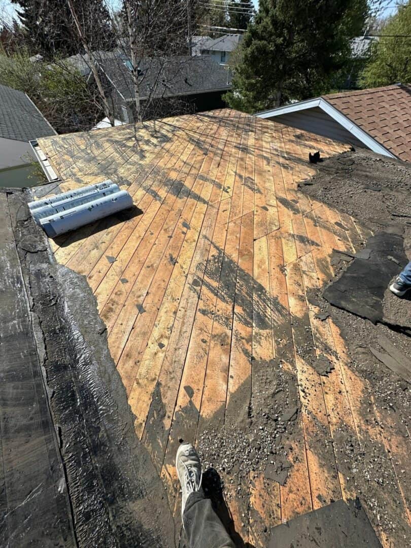 Flat roof in Calgary showing exposed deck during repair, illustrating how Whalley’s can restore just the flat section while maintaining seamless integration with the adjacent sloped portion.