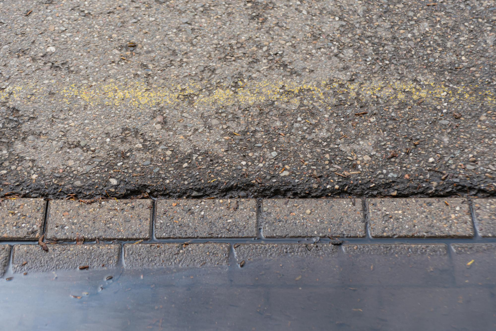 surviving indian roads