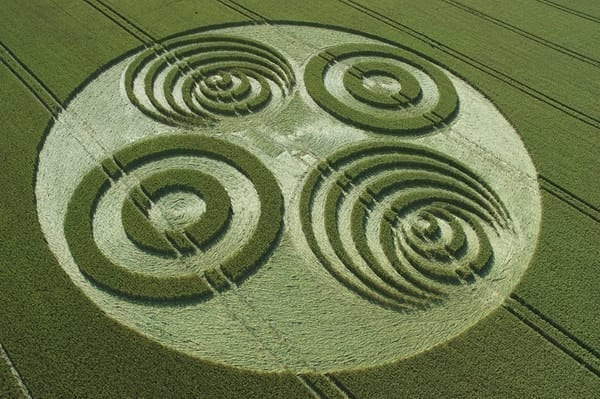 10-Savernake-Forest-Wiltshire-06-07-06-Wheat-OH
