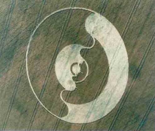 crop_circle31