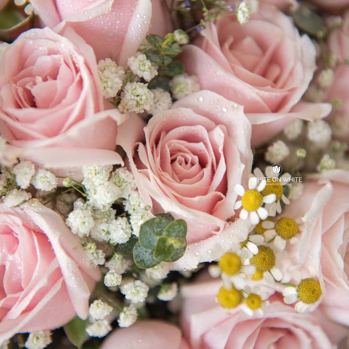 Blush Rose Bouquet - Birthdays Flower, 520 day flower