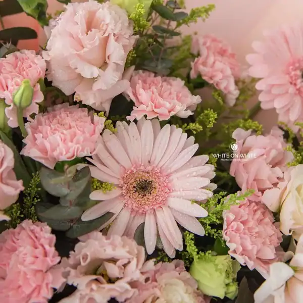 Carnation Mix Bouquet for graduates and retirees flower gift