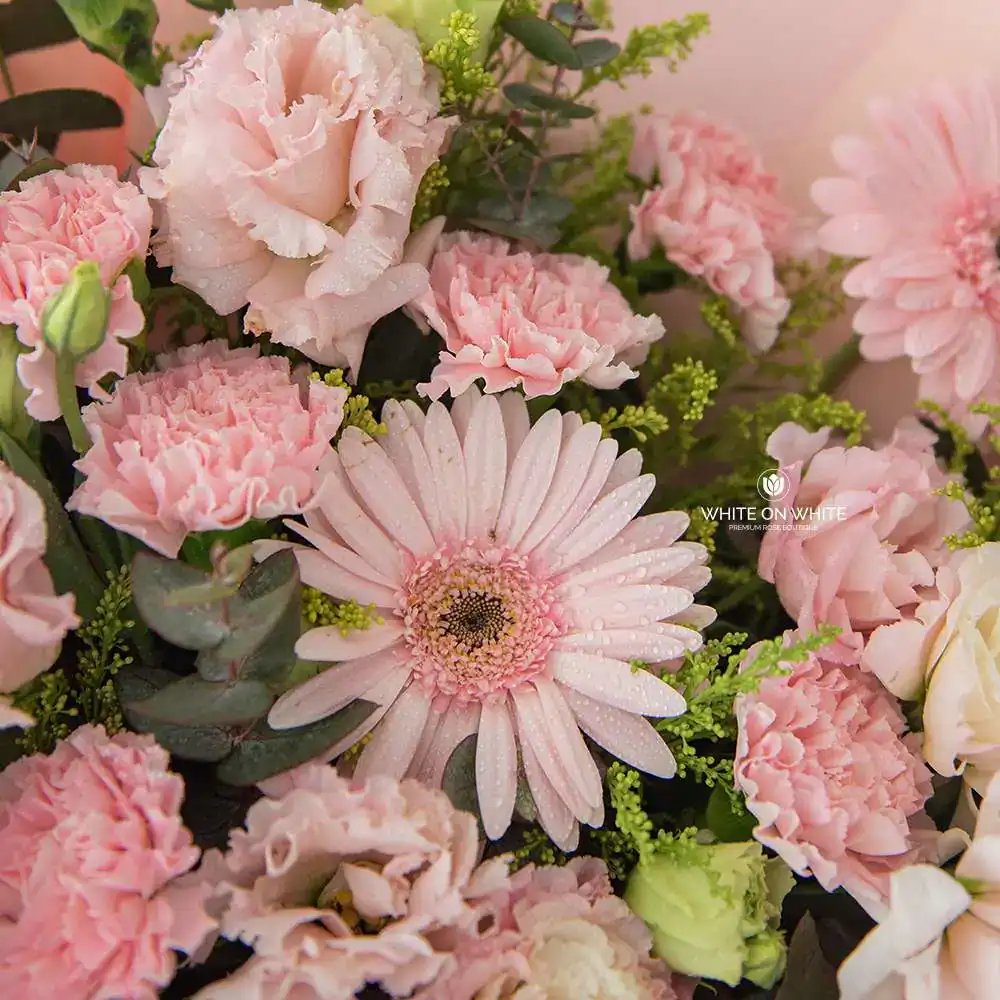 Carnation Mix Bouquet for graduates and retirees flower gift