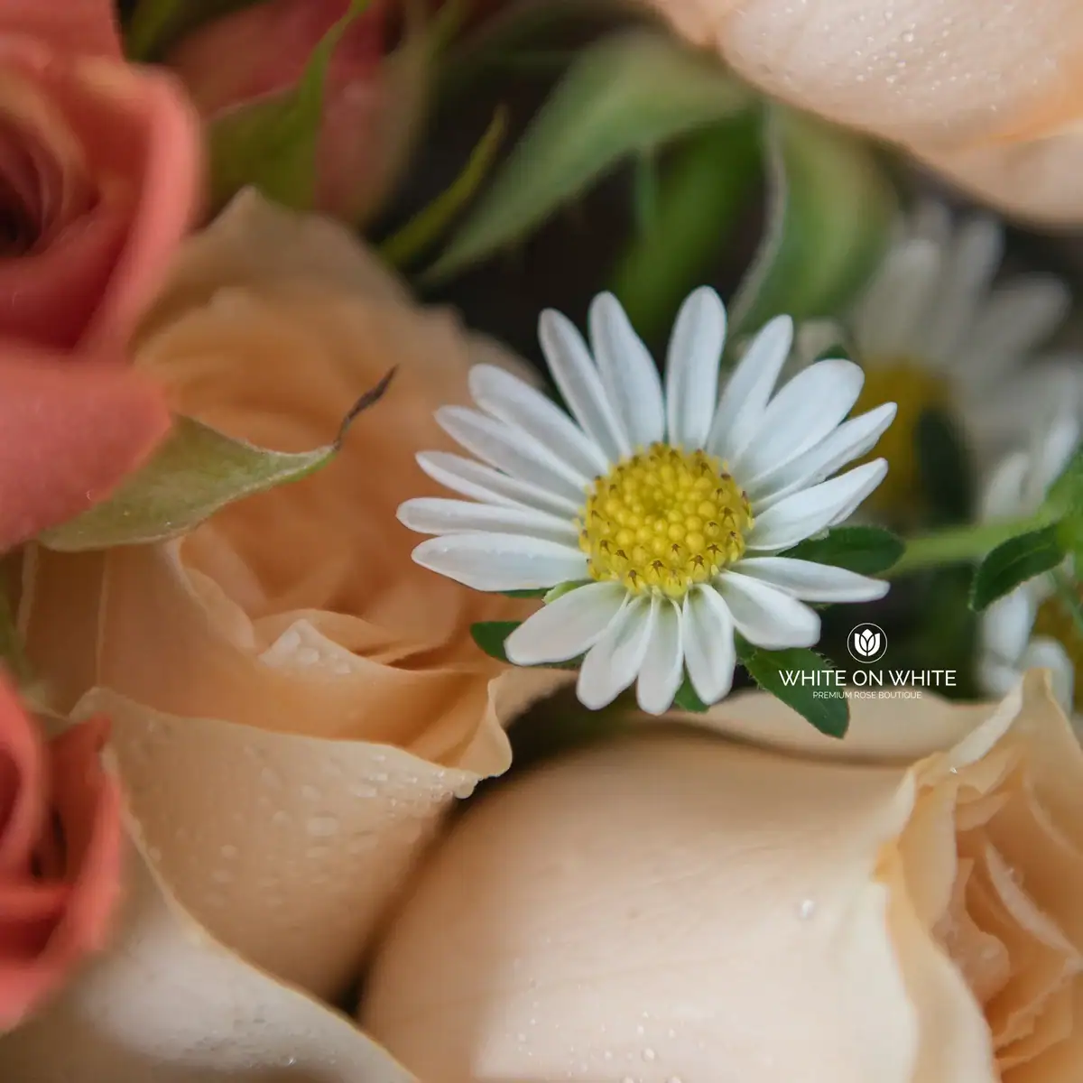 Love in bloom flower