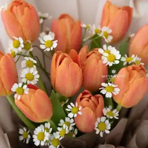 Gorgeous You Bouquet - Best Friendships & Birthdays Occassion, Corporate gifting, corporate gifts, corporate gift ideas