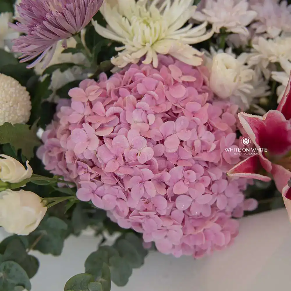 Graceful Solace condolence