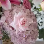 Pinky Wish Basket- Birthday & Retirement