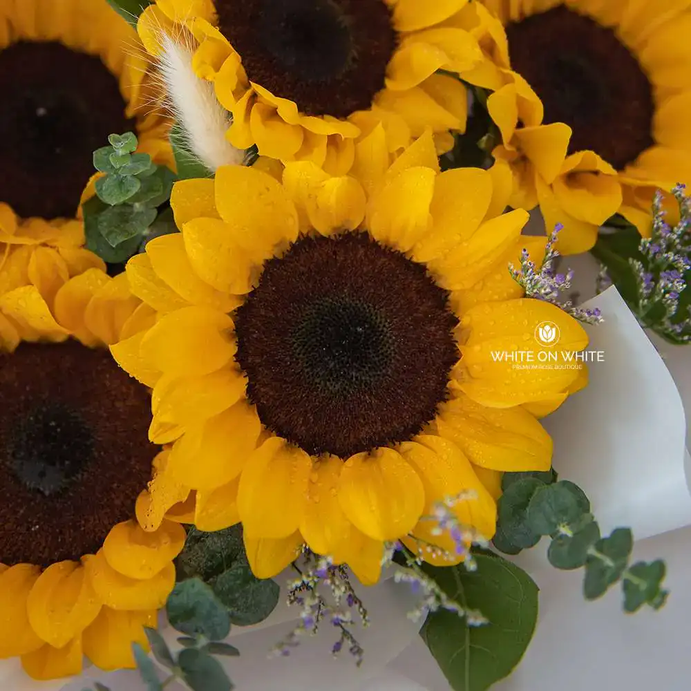 Helianthus Bouquet for graduation and birthday occasion, same day flower delivery