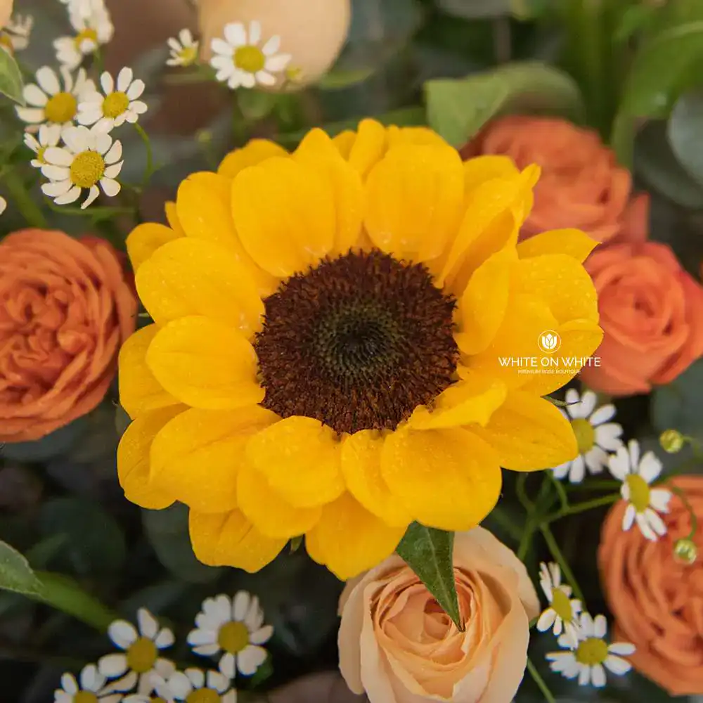 Triumph Flower Stand for Congratulations of Grand Opening Business