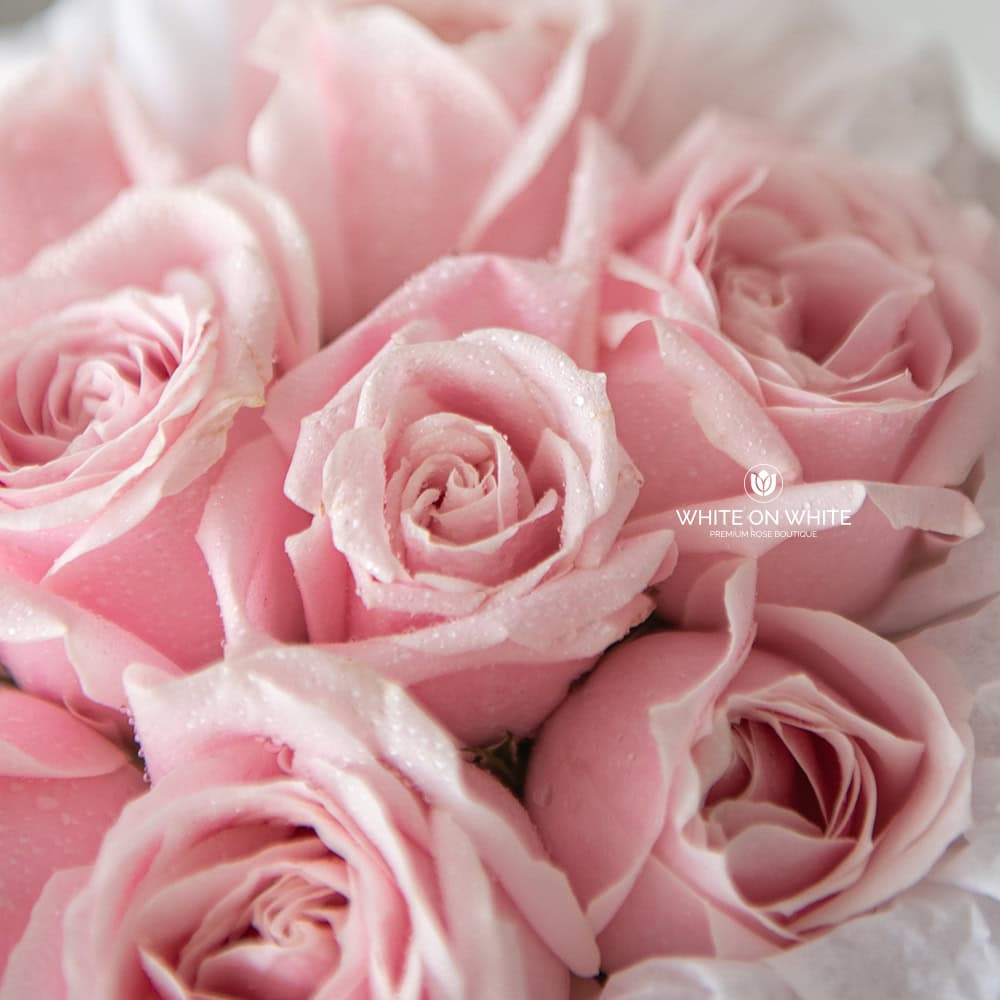 Blushing Pink Bouquet, fresh flower bouquet, flower for girlfriend