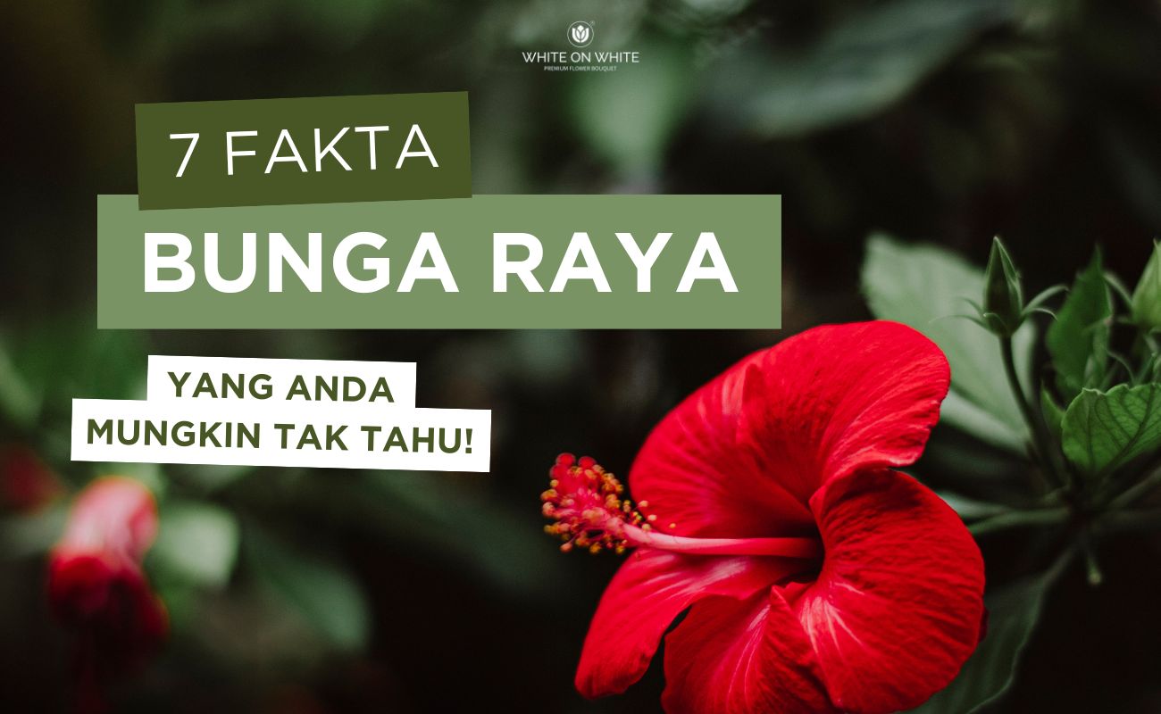 7 Fakta Menarik Bunga Raya, Bunga Kebangsaan Malaysia