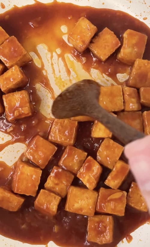 Braising tofu with sauce