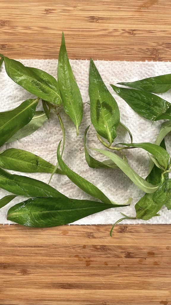 Vietnamese coriander