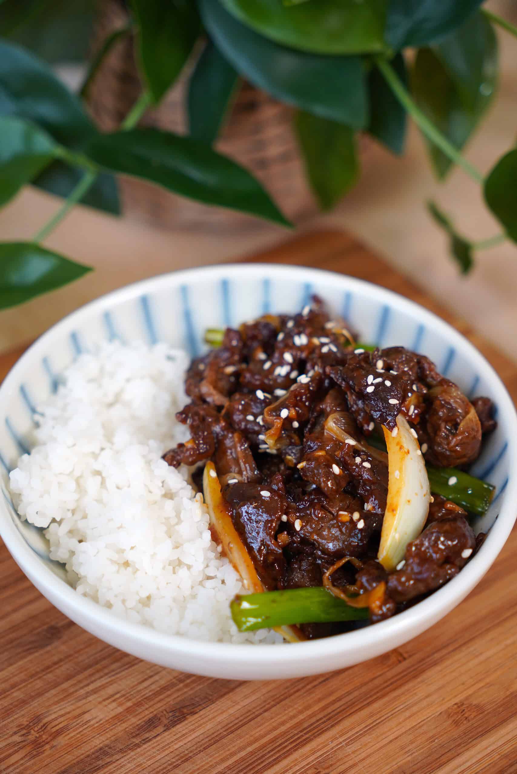 Beef and Onion Stir Fry