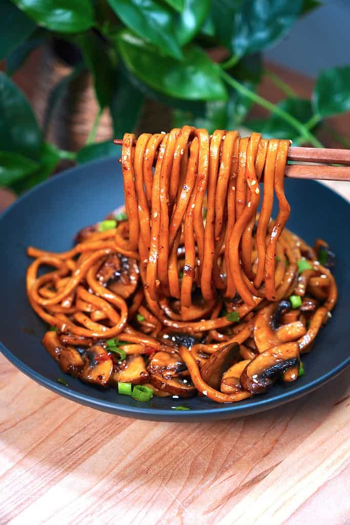 Chili Oil Udon Noodles
