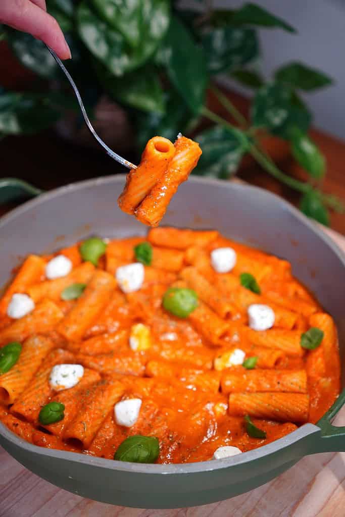 No-cream Tomatoes Rigatoni Pasta