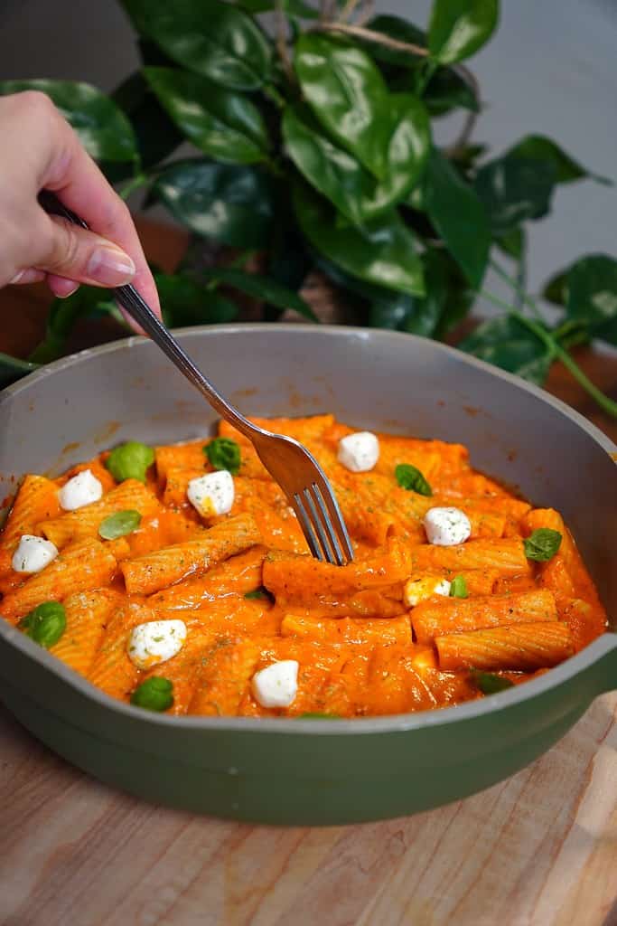 Creamy Tomatoes Rigatoni Pasta