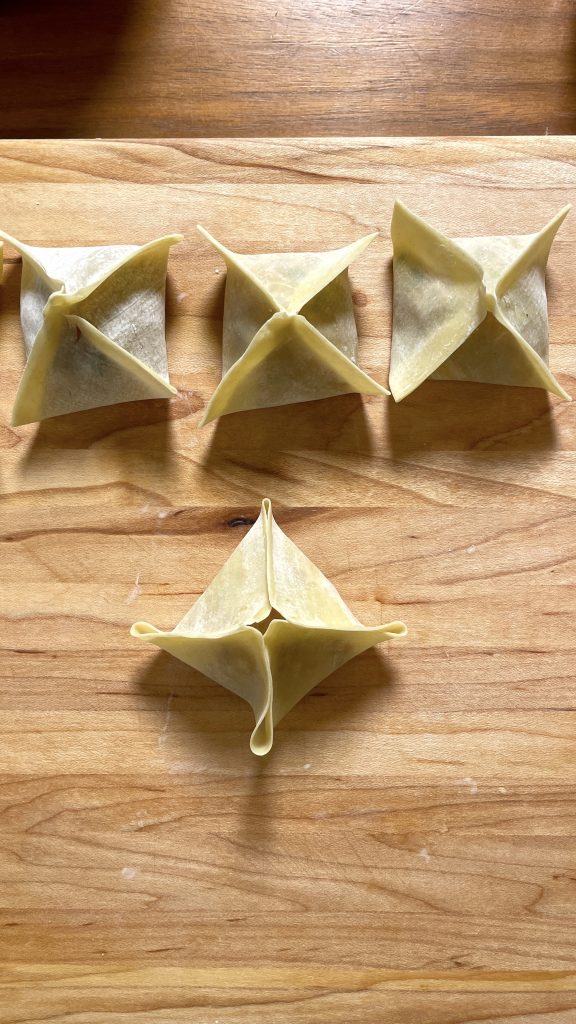 Wonton Wrapping