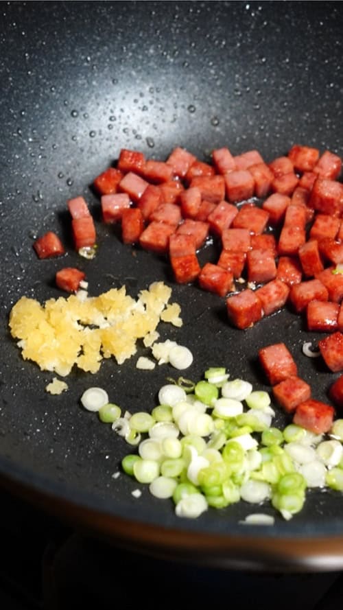 Spam garlic and scallion