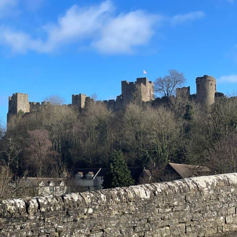 Ancient castle on a hilltop with trees and blue sky in the background, historic fortress landscape.