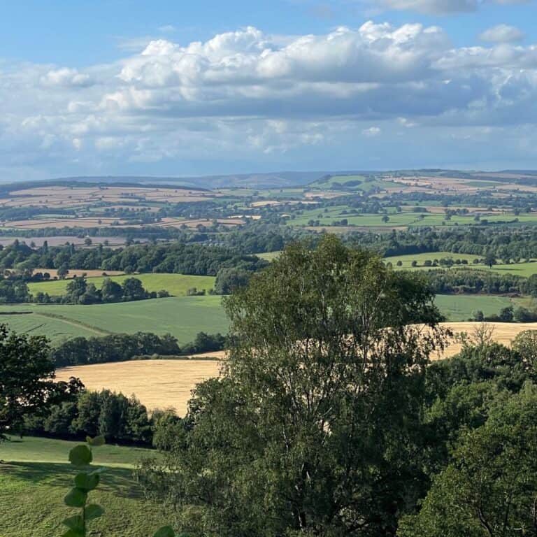 A lush green countryside landscape with rolling fields and scattered trees under a partly cloudy sky.