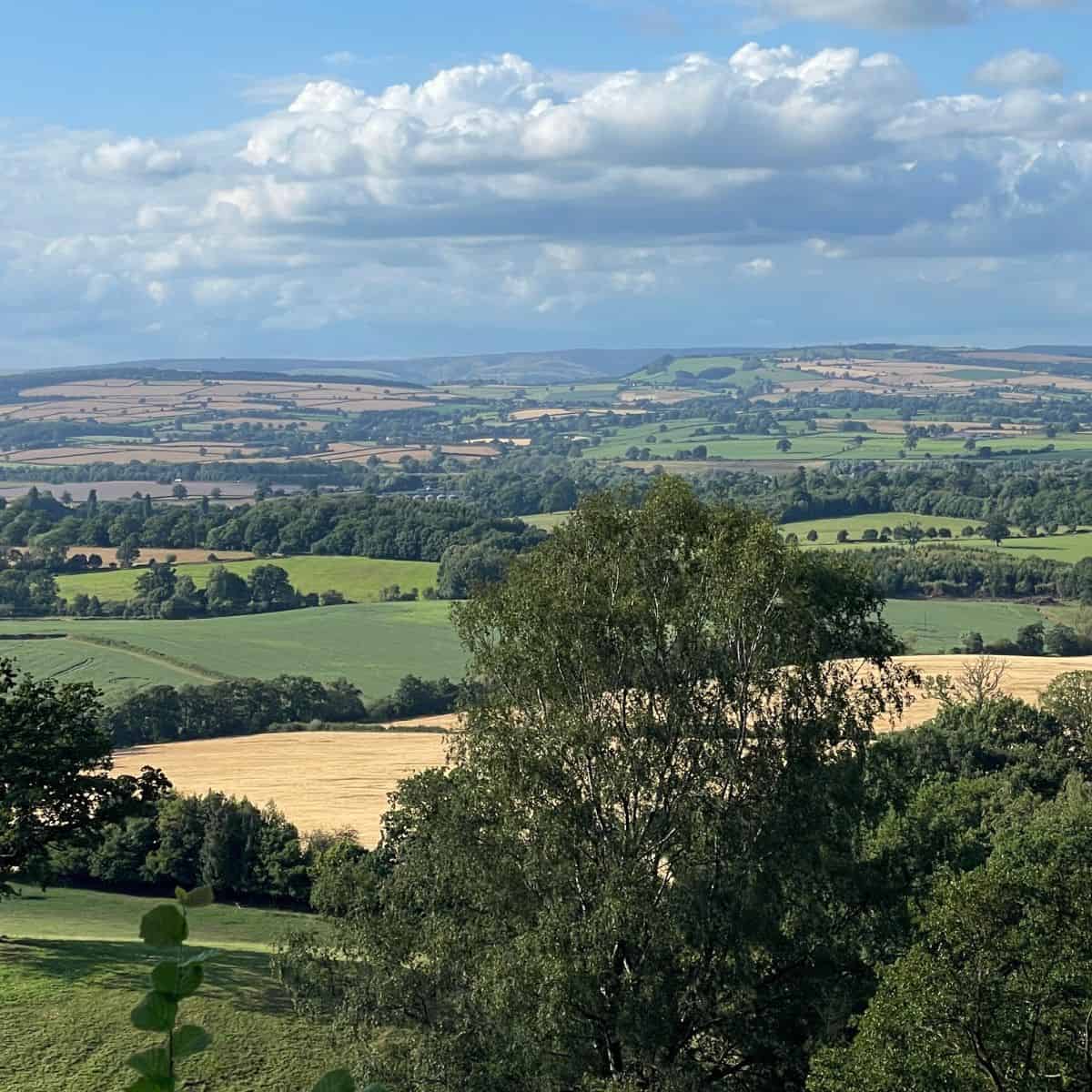 A lush green countryside landscape with rolling fields and scattered trees under a partly cloudy sky.