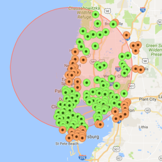 Map of Tampa Bay area highlighting Willowood Ventures’ automotive service locations with green and orange markers clustered inside a large red circle; major highways and nearby cities labeled for reference.