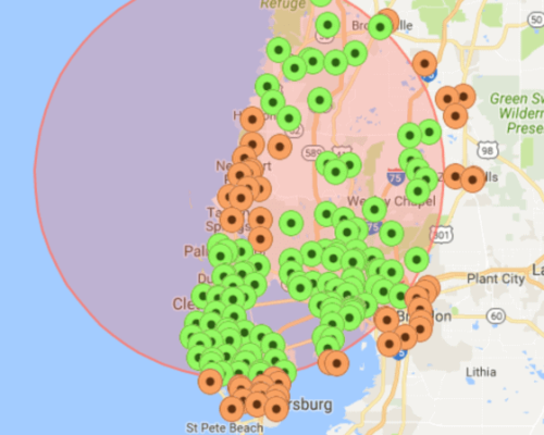 Map of Tampa Bay area highlighting Willowood Ventures’ automotive service locations with green and orange markers clustered inside a large red circle; major highways and nearby cities labeled for reference.