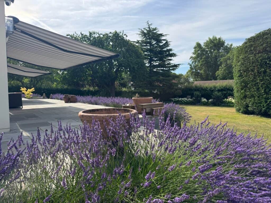summer garden in Hampshire shaded with weinor awnings