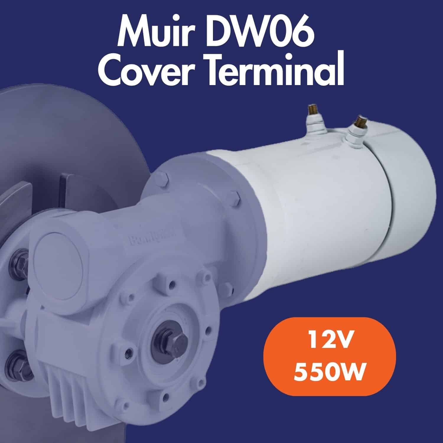 DW06 Replacement Motor