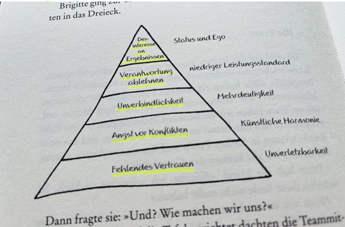 Fünf Krankheiten eines Teams