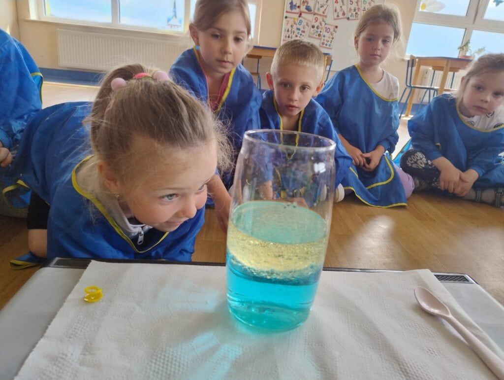 Prawidłowe odpowiedzi to:.