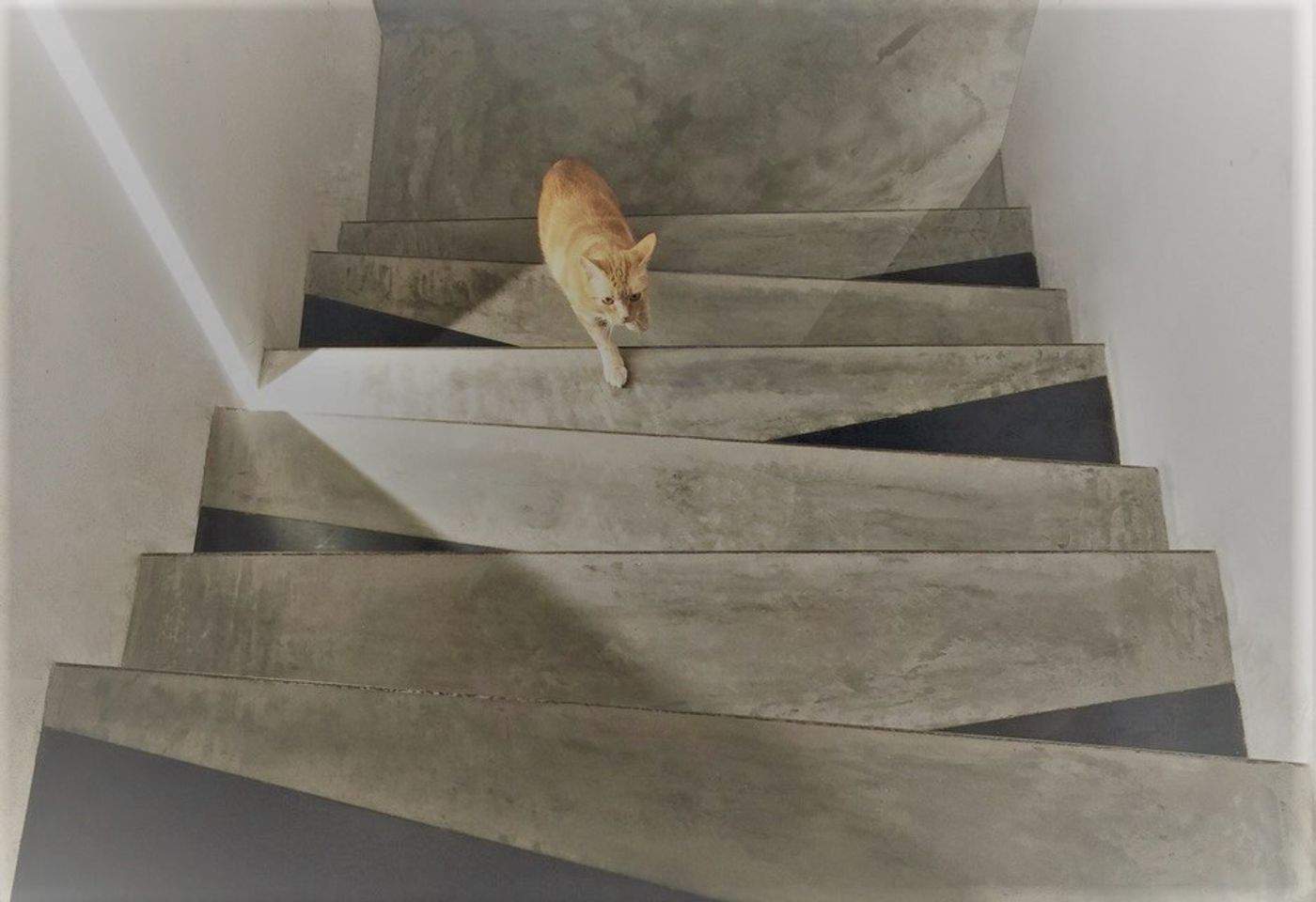 Treppen aus Beton von wohnbeton.info