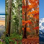 What Are the Seasons in Australia? Best Times to Visit