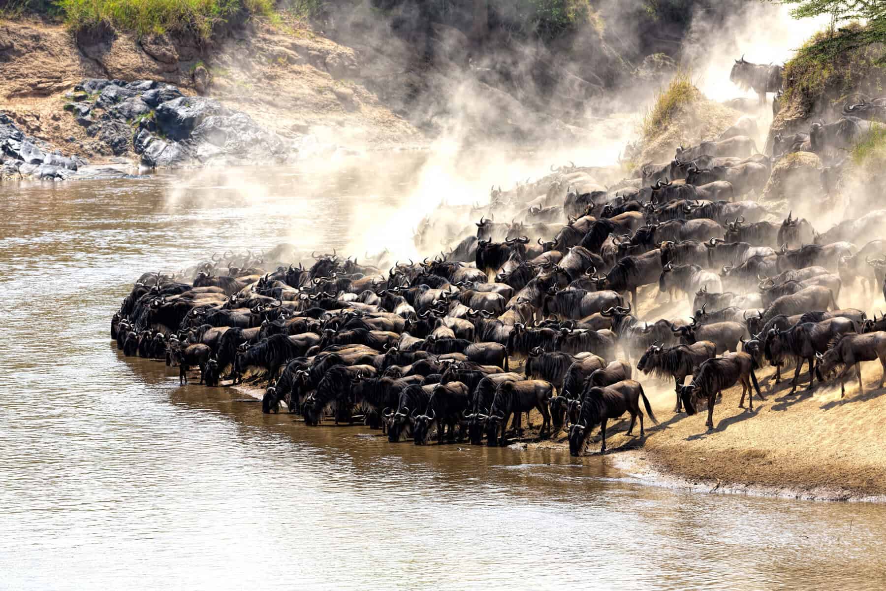 Kenya Safari Landscape