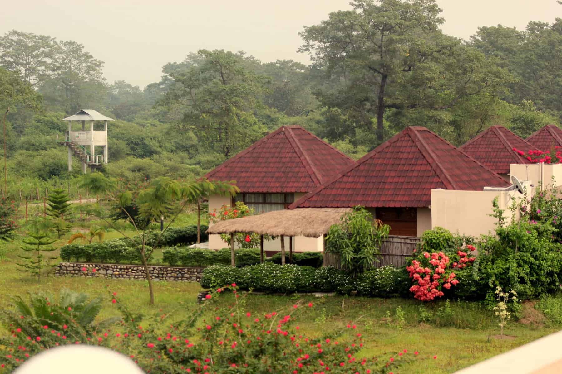 Premium Wildlife Journey India